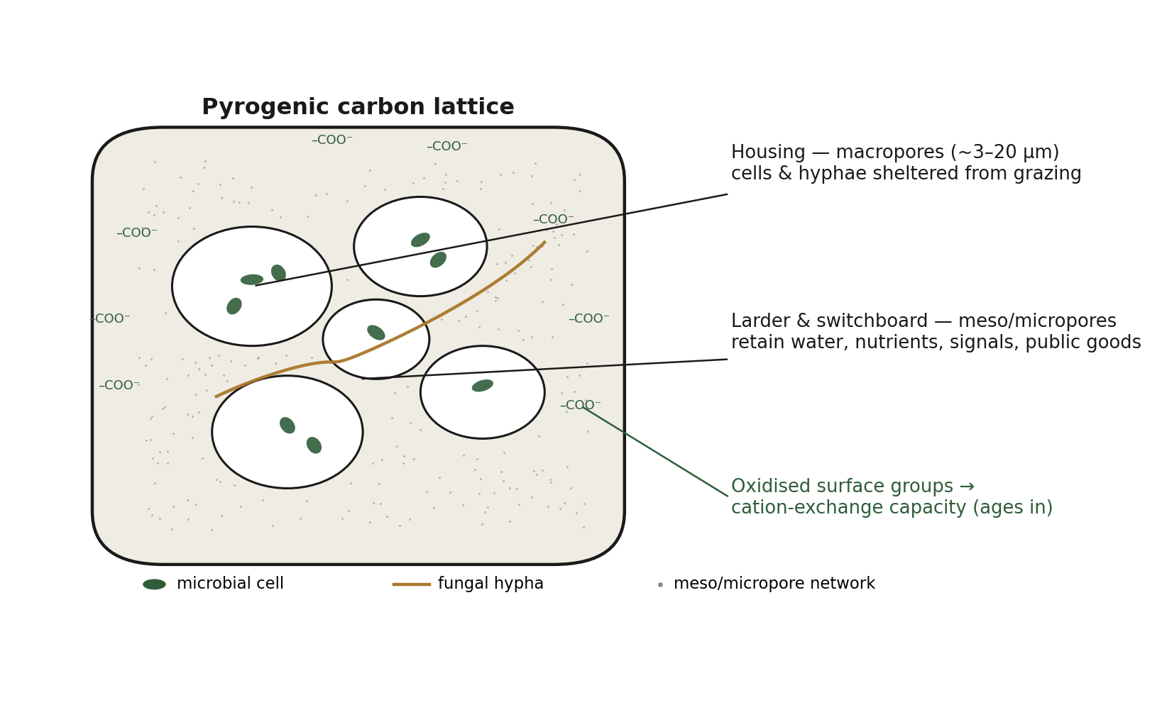 Schematic of the pyrogenic carbon lattice as a multifunctional shared substrate: micron-scale macropores house and shelter microbial cells and fungal hyphae, while the finer meso- and microporous surface retains water, dissolved organic matter, ions, and diffusible signals.