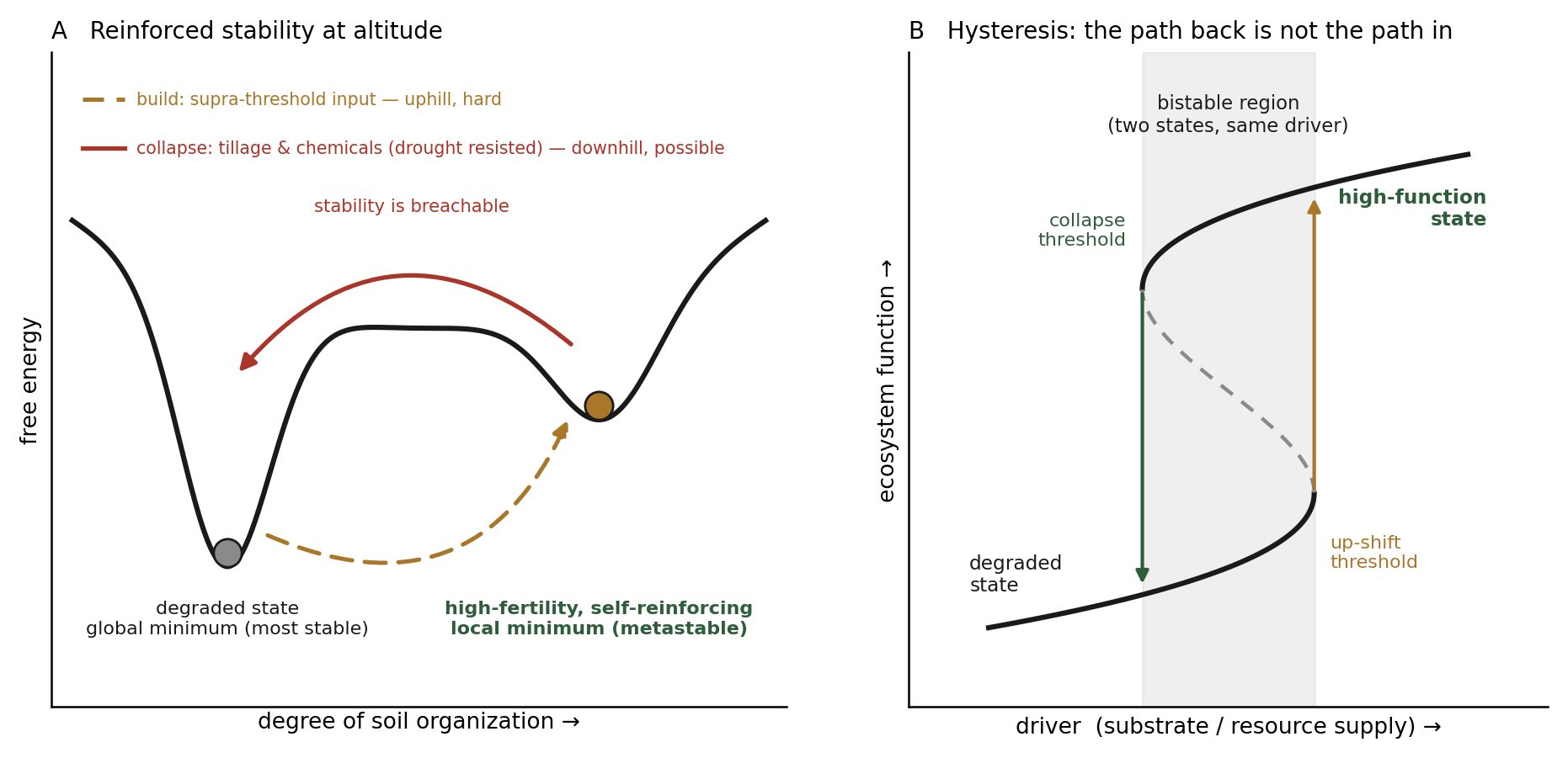 Two panels. A free-energy landscape in which the high-fertility state is a higher, self-reinforcing local minimum reached only by a supra-threshold input, alongside an ecosystem-function fold showing the up-shift and collapse thresholds at different points, so building and collapse are not mirror images.